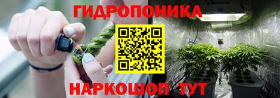 молекула духа Партизанск